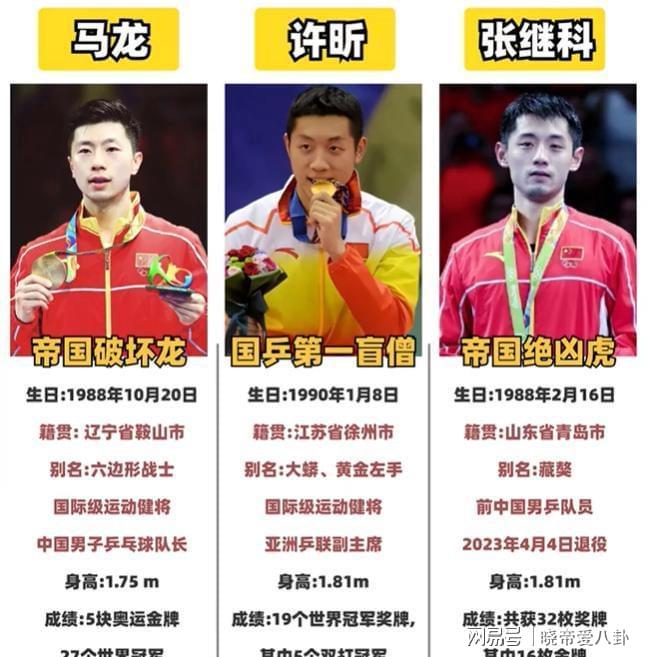 德国乒乓球队逆转中国乒乓球队,张继科爆发神勇的简单介绍 德国乒乓球队逆转中国乒乓球队,张继科爆发神勇的简单介绍