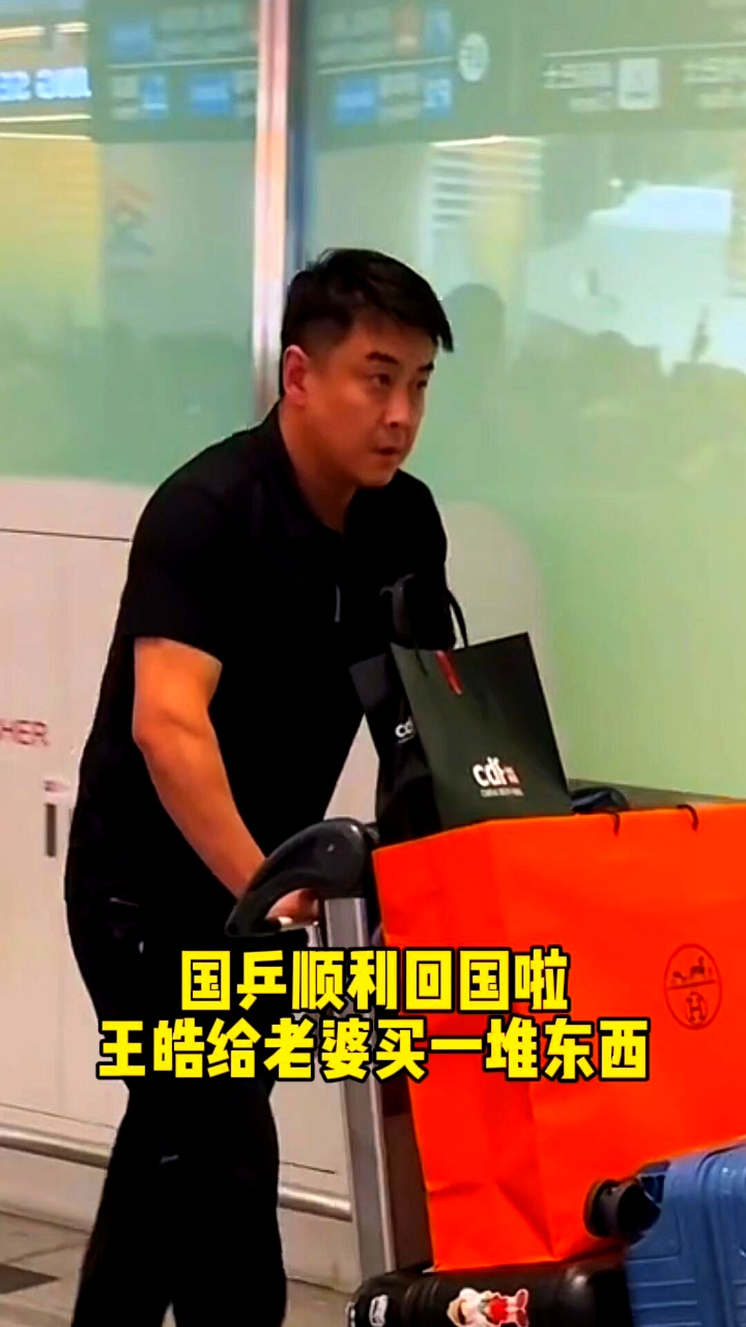 中国乒乓球队险胜波兰乒乓球队，王皓关键制胜的简单介绍