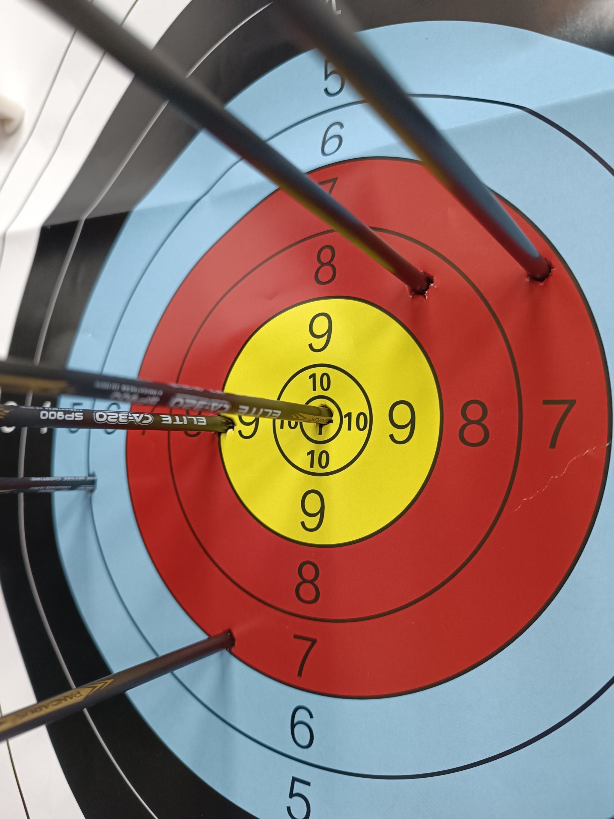 开云体育登录-射箭赛事中展现实力，选手准确无误打中靶心的简单介绍