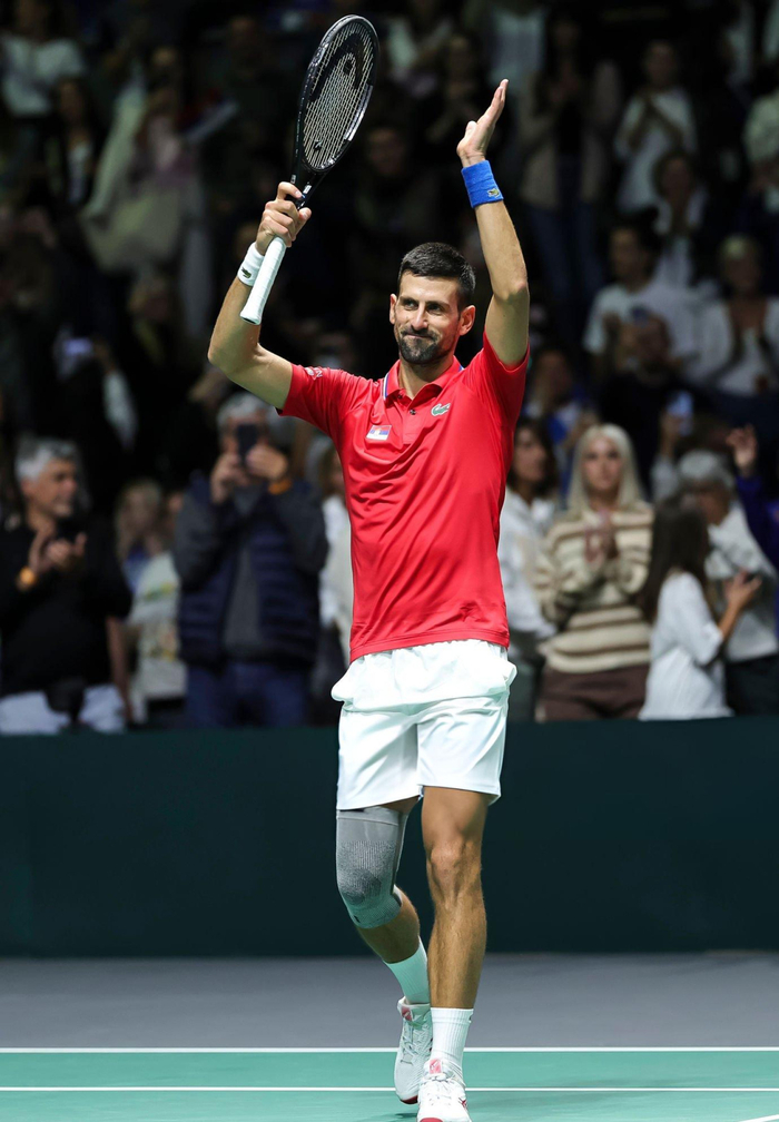 关于年终总决赛横扫戴维斯杯，德约科维奇关键制胜的信息