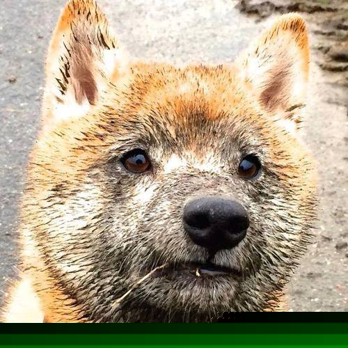 热火斩落骑士,马克西用实力证明自己,新时代的号角已经吹响